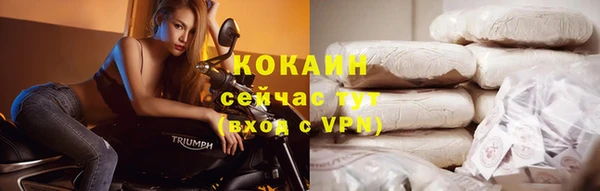 твердый Алексин