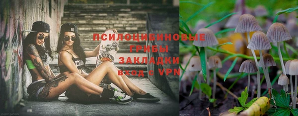 шишки Алексеевка